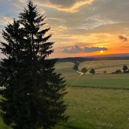 Mit Gruenblick & Wintergarten Im Schwarzwald Lejlighed Löffingen